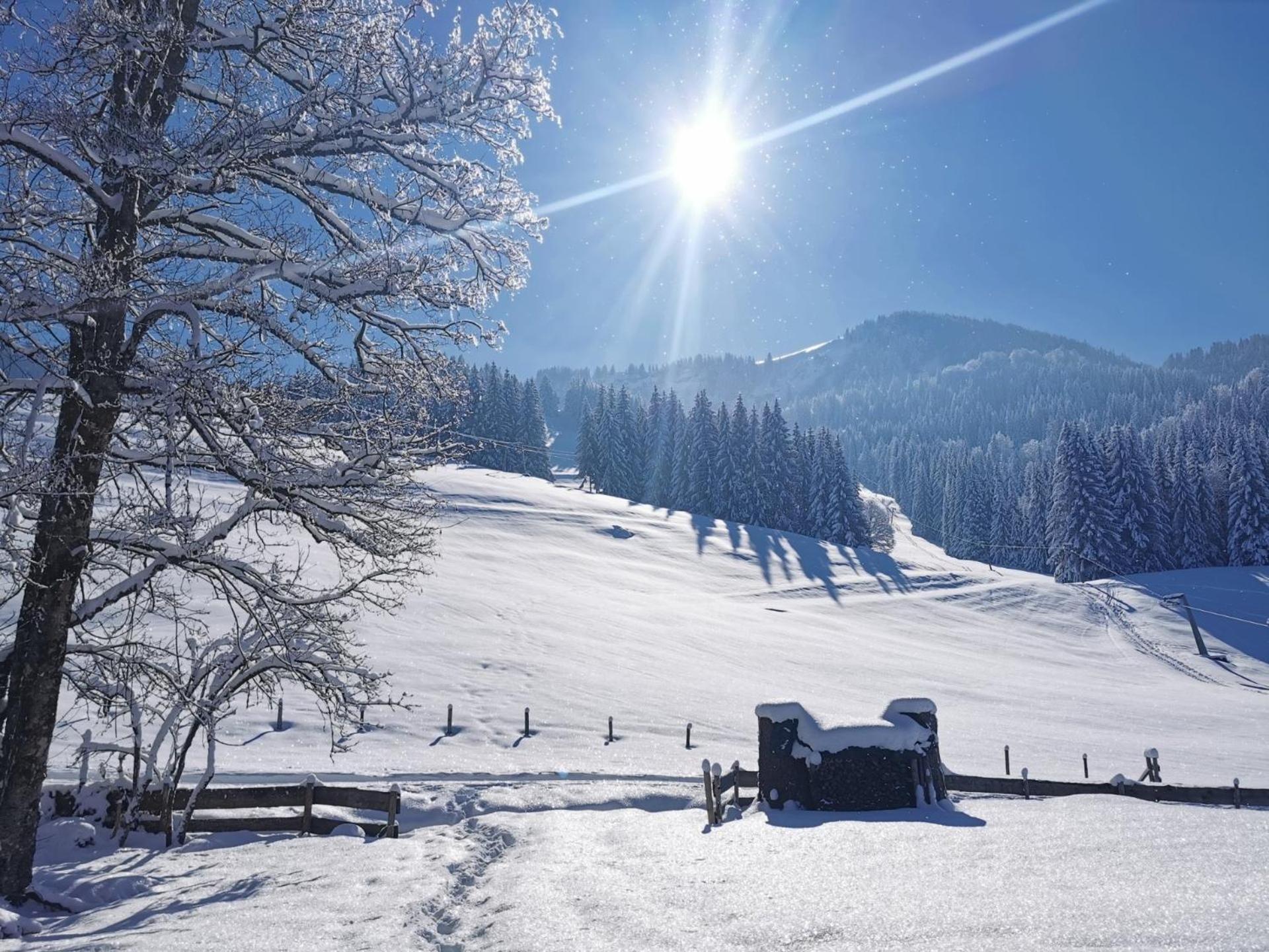Konstanzer Bergblick Mit Wintergarten Oberstaufen Buitenkant foto