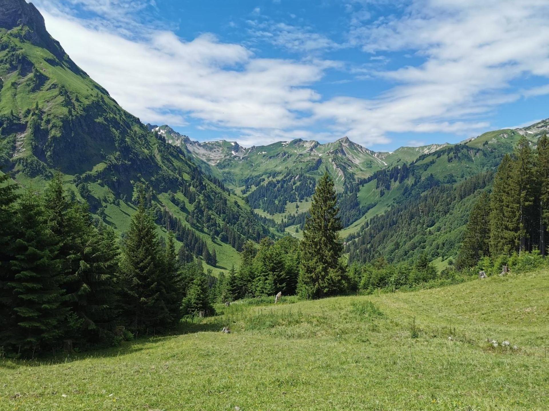 Konstanzer Bergblick Mit Wintergarten Oberstaufen Buitenkant foto